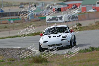 media/Feb-25-2024-Touge2Track (Sun) [[ed4a1e54f3]]/Pink/Morning session/Turn 2/